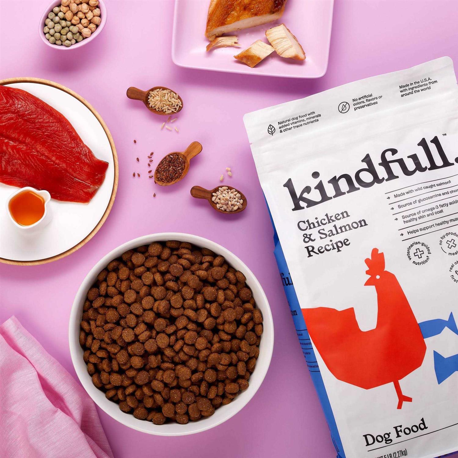 Kindfull Chicken and Salmon Recipe Dry Dog Food - Nail Gallerys