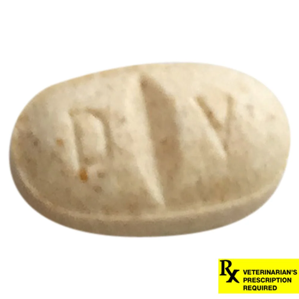 Rx Clomicalm (Clomipramine HCl) Tablets for Dogs - Nail Gallerys