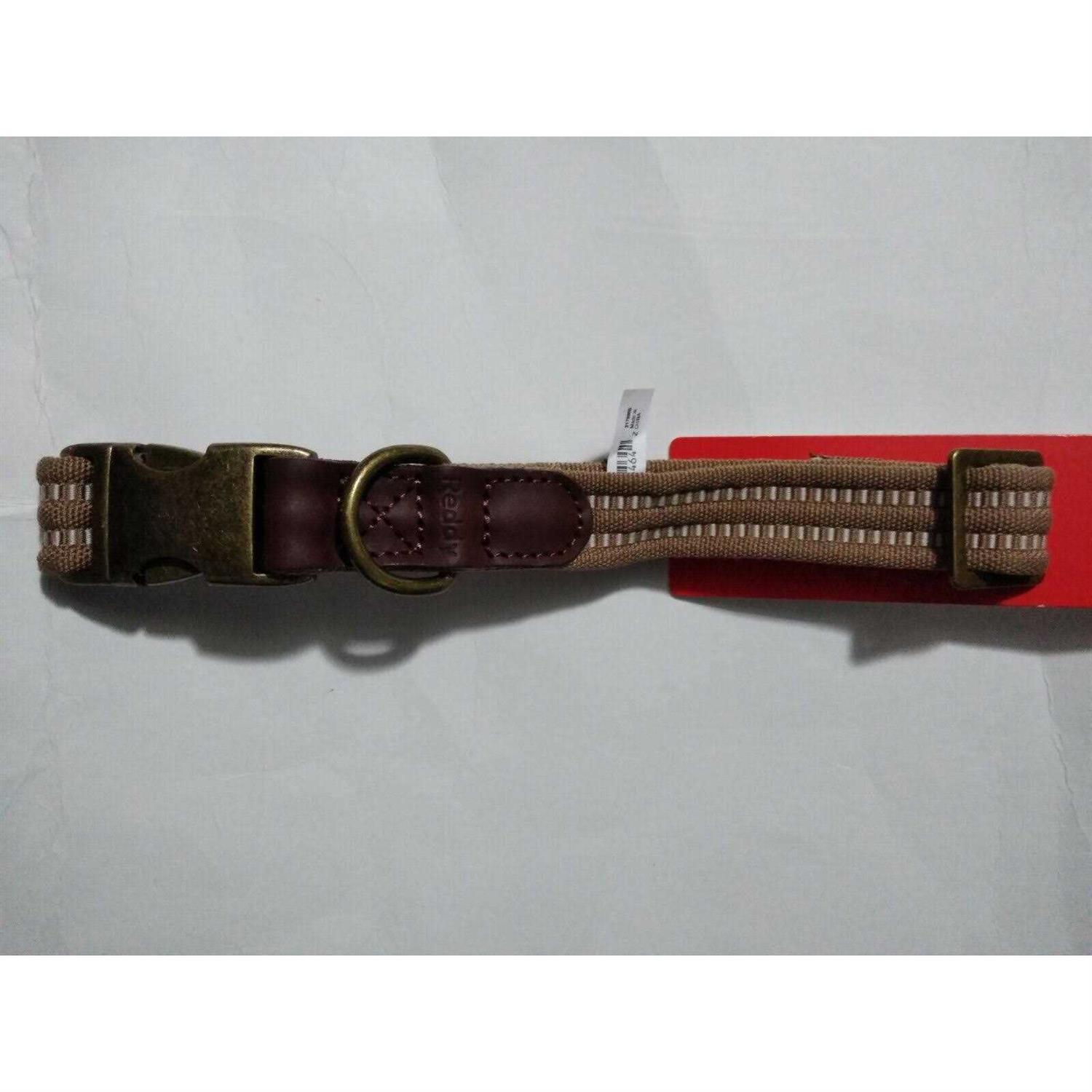 Reddy Webbed Dog Collar - Nail Gallerys