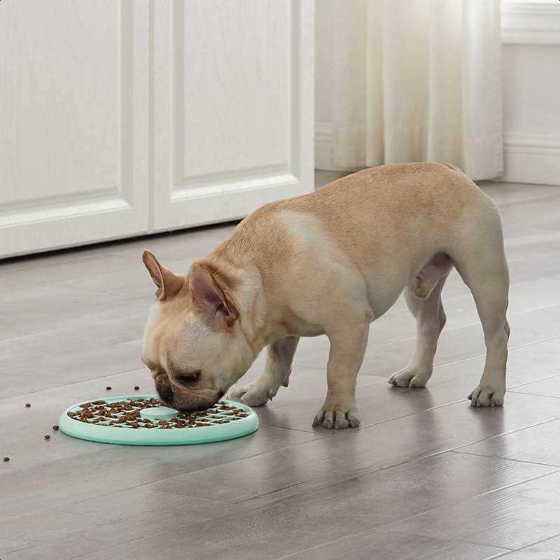 Outward Hound Fun Feeder Slo Tray Slow Feeder Dog Bowl - Nail Gallerys