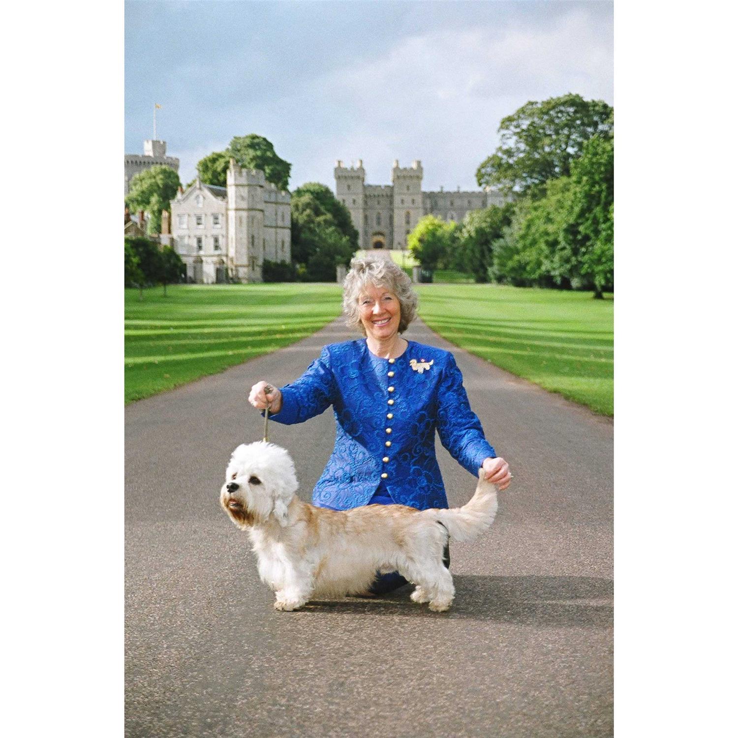 Resco Professional Cordo-Hyde Show Lead - Nail Gallerys