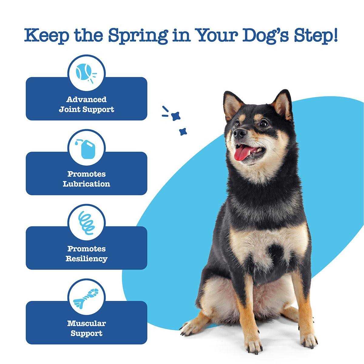 Zesty Paws Advanced Hip Joint Mobility Bites for Senior Dogs - Nail Gallerys