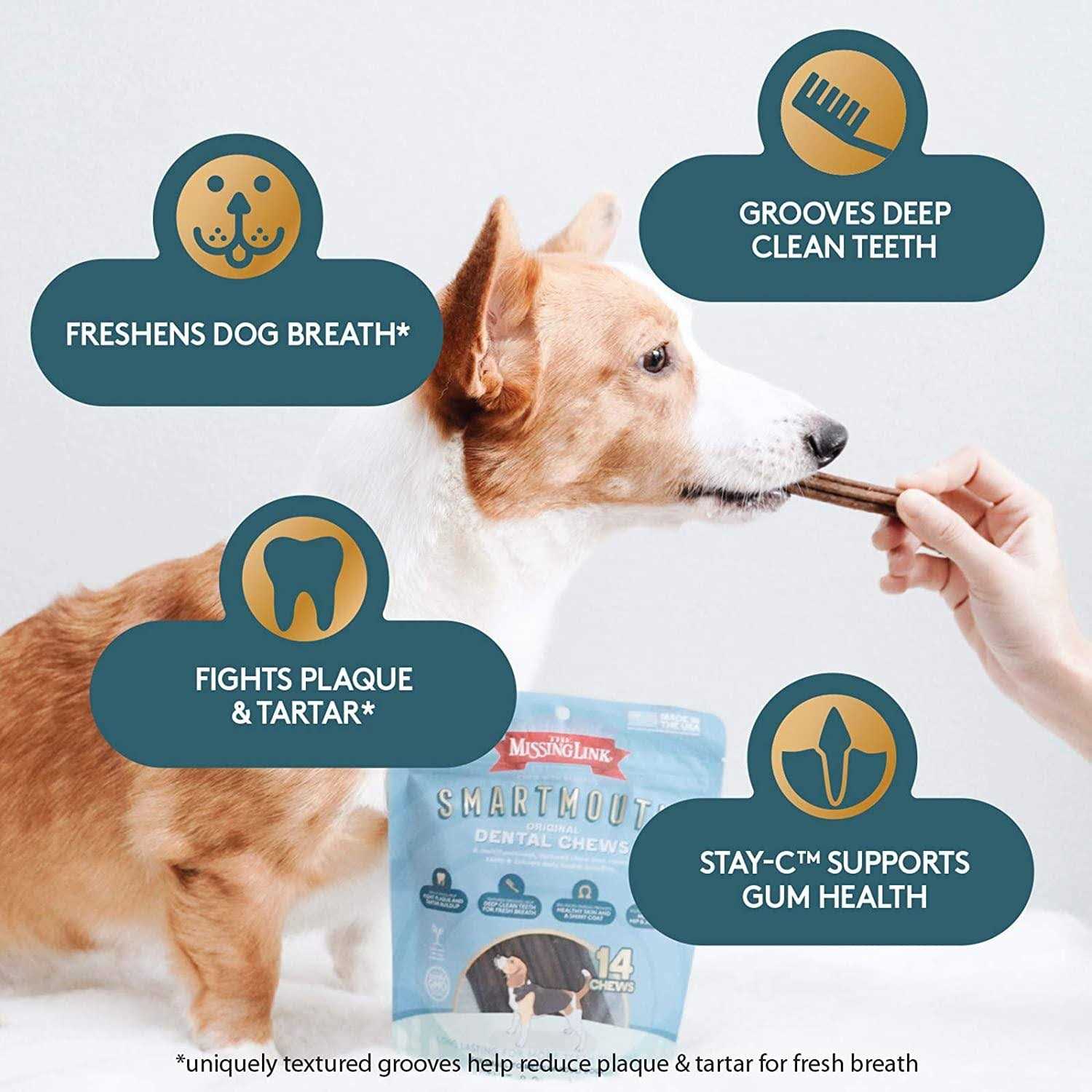The Missing Link Smartmouth Dental Chews for Dogs - Nail Gallerys