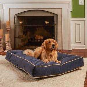 Happy Hounds Bailey Rectangle Pillow Dog Bed w/ Removable COVER - Nail Gallerys