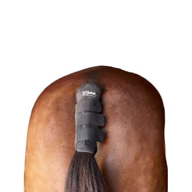 Cashel Tail Shield - Nail Gallerys