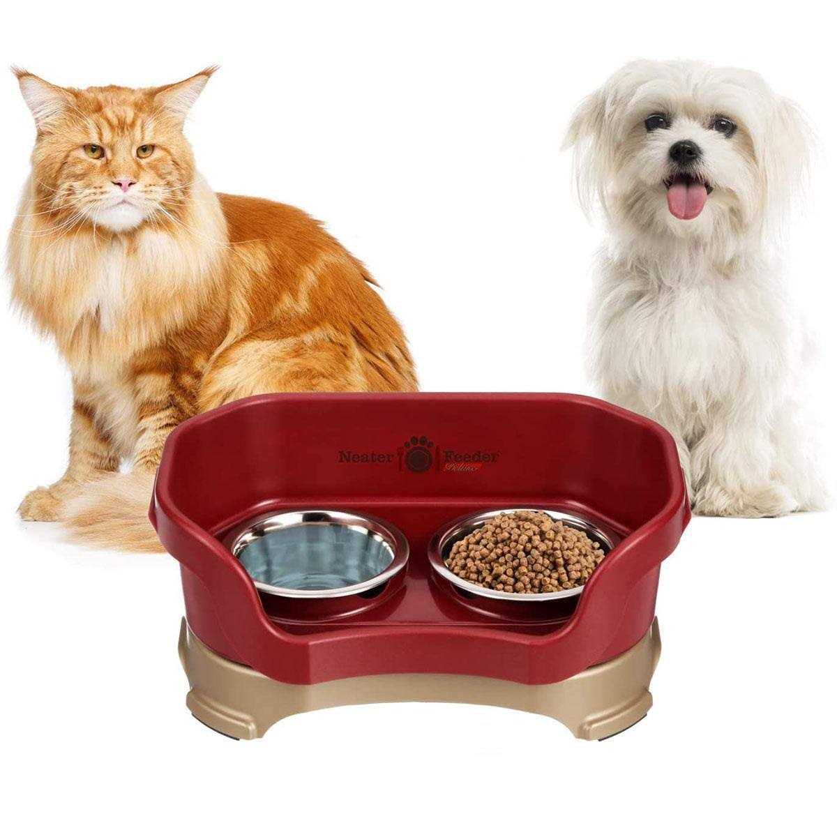 Neater Feeder Deluxe Dog - Nail Gallerys