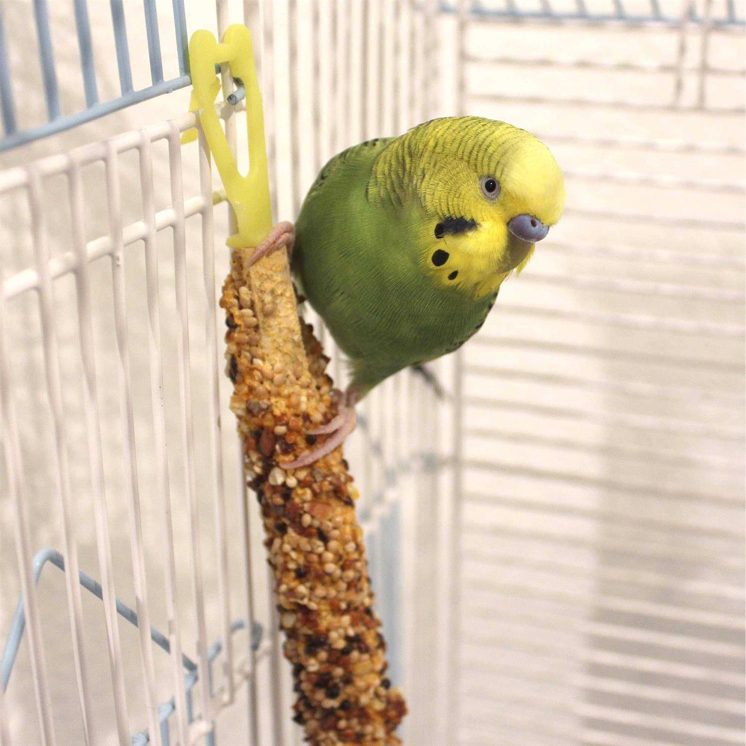 Vitakraft Crunch Sticks - Nail Gallerys