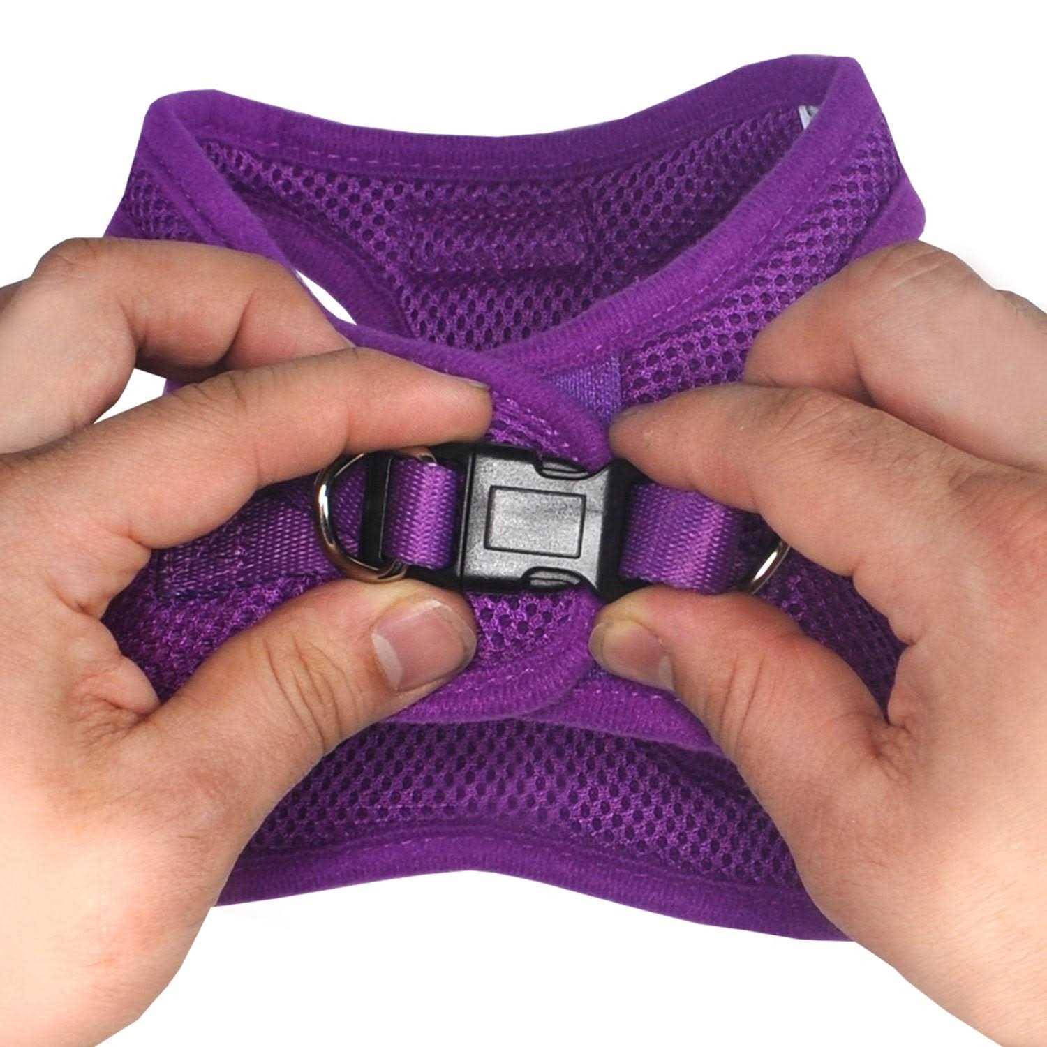 Downtown Pet Supply Step in Dog Harness for Small Dogs No Pull - Nail Gallerys