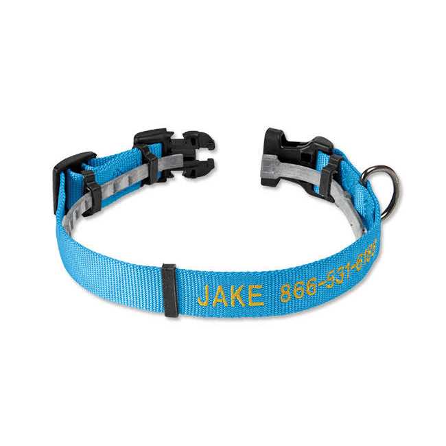 Orvis Conceal-a-Collar Personalized Flea and Tick Collar - Nail Gallerys