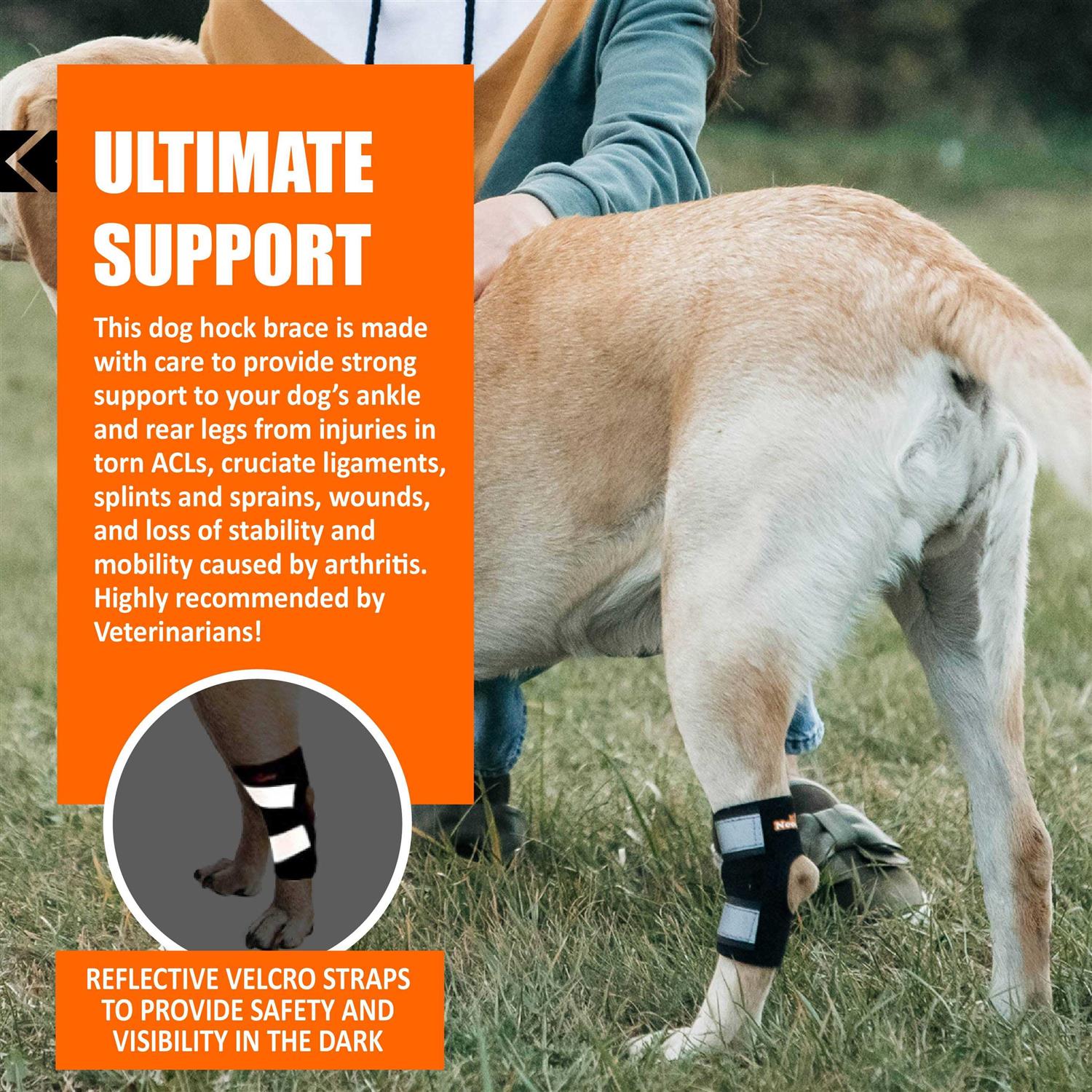 NeoAlly Dog Rear Leg Brace Canine Hock Ankle Support with Safety Reflective Straps for Hind Leg Wounds Heal and and - Nail Gallerys