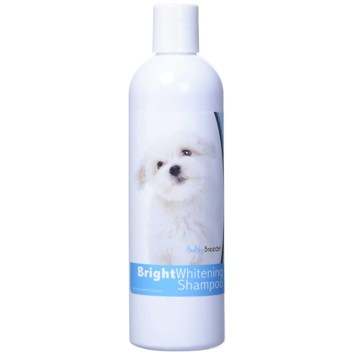 Healthy Breeds 12 oz Maltese Bright Whitening Shampoo - Nail Gallerys