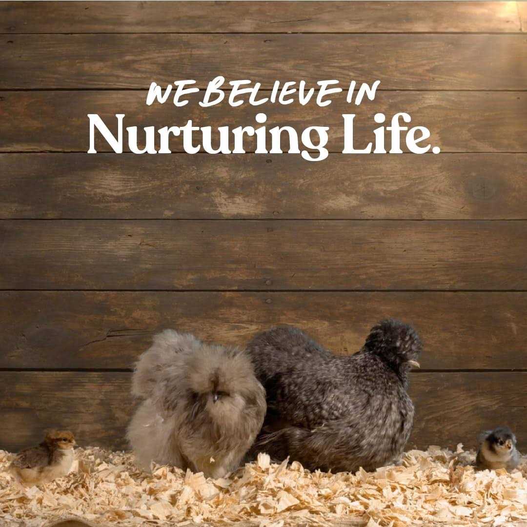 Manna Pro Omega Egg Maker Supplement - Nail Gallerys