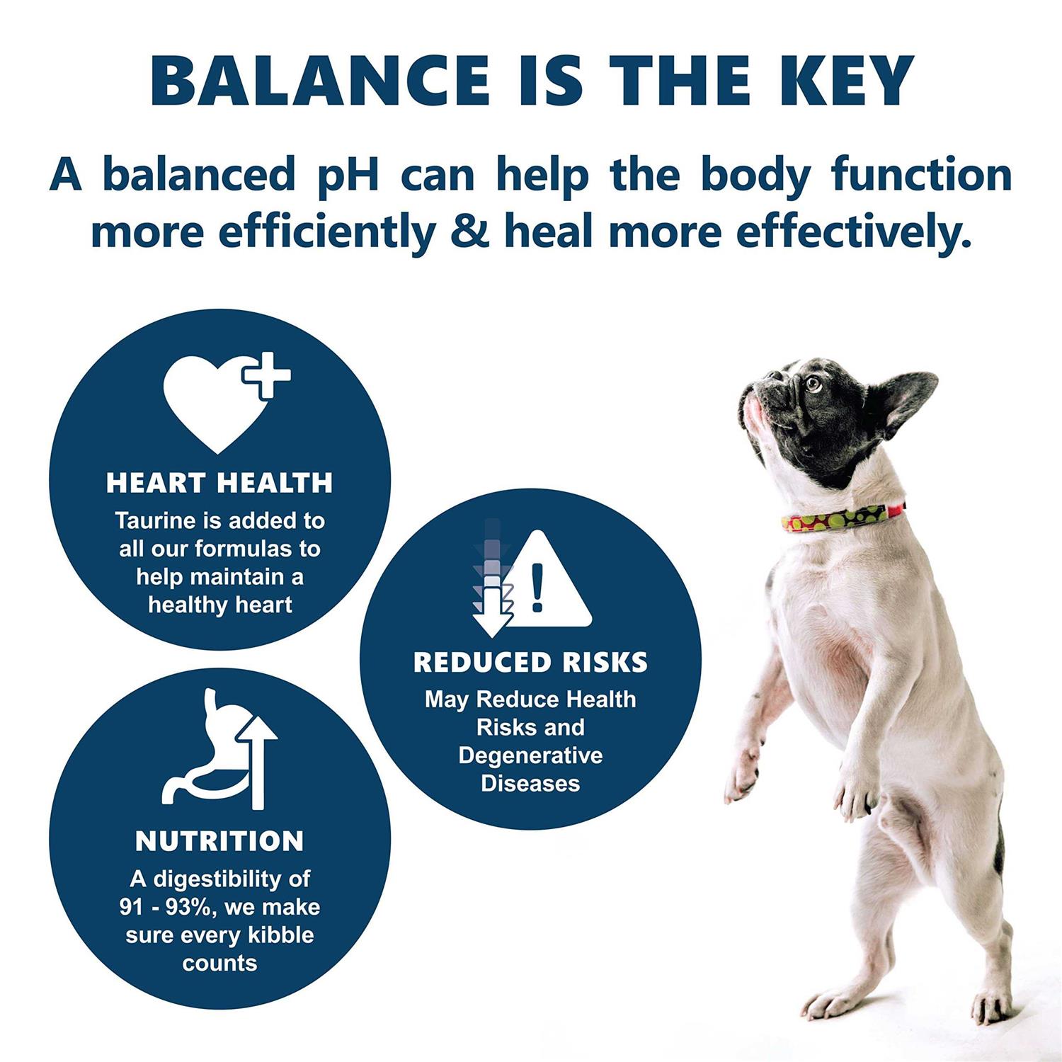 Canine Caviar Open Meadow Holistic Entree Dry Dog Food - Nail Gallerys