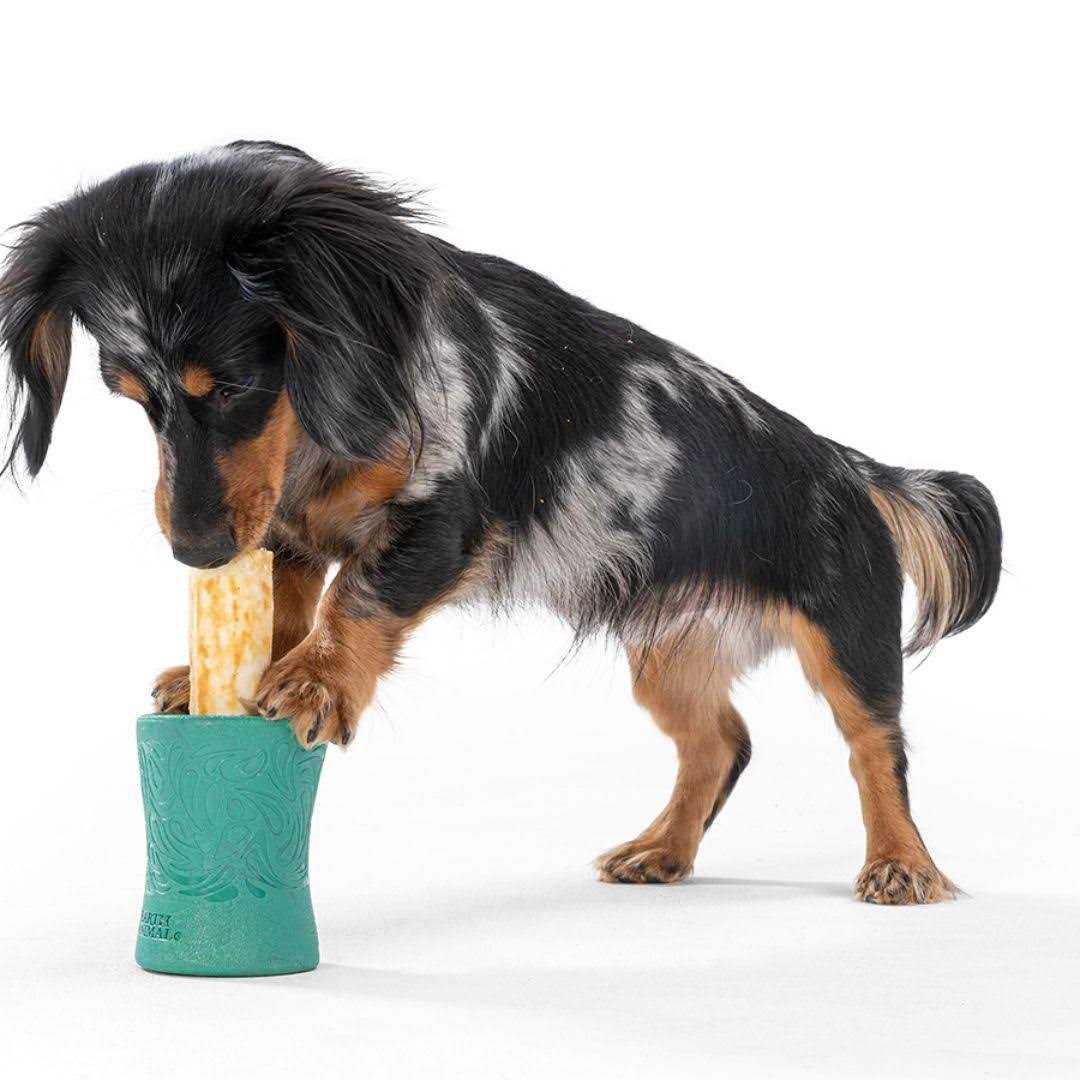 West Paw Funnl Dog Toy - Nail Gallerys