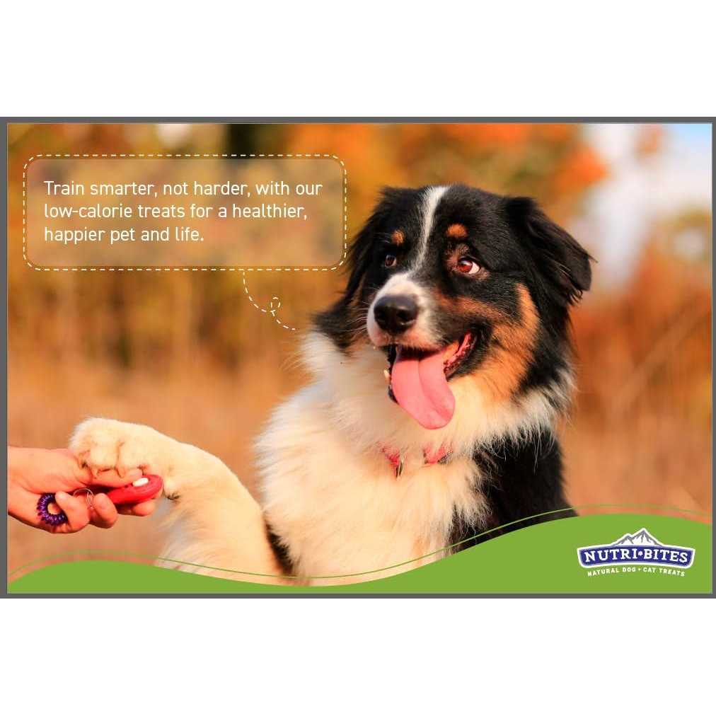 nutri bites freeze dried salmon pets treats rich in protein and omega-3 premium quality 14 oz for dogs and cats - Nail Gallerys