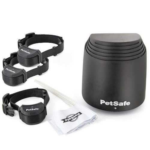 PetSafe Stay Play Wireless Fence - Nail Gallerys