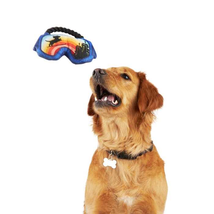 Petco Ski Goggles Dog Toy - Nail Gallerys
