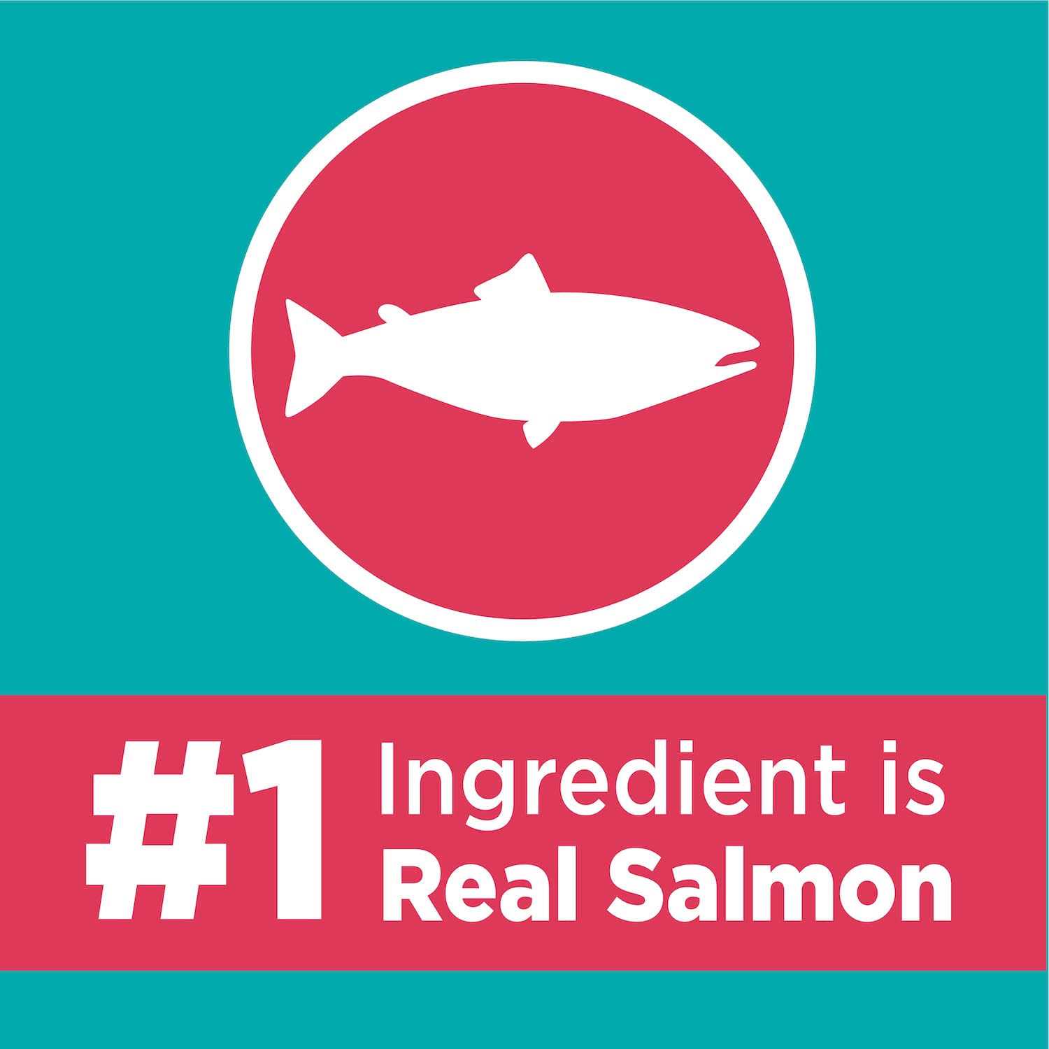 Iams Proactive Health Care Salmon Adult Dry Cat Food - Nail Gallerys