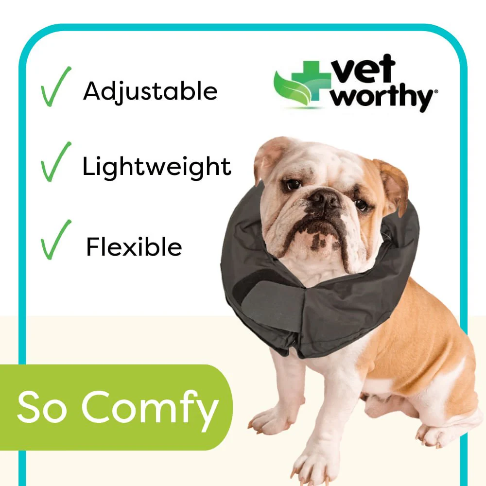 Vet Worthy Inflatable Collar, Black - Nail Gallerys