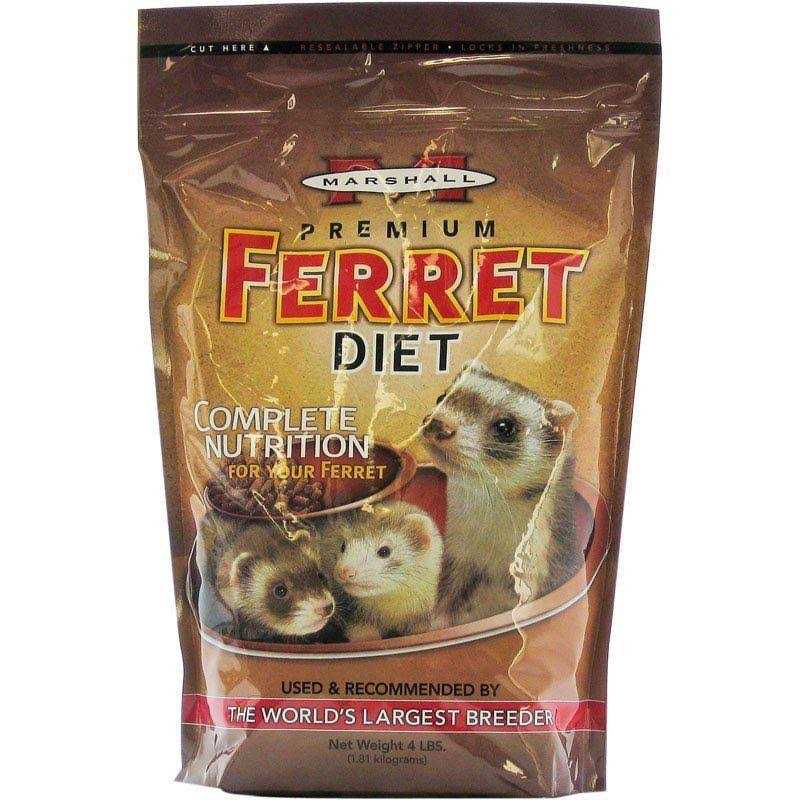 Marshall Ferret Premium Diet - Nail Gallerys