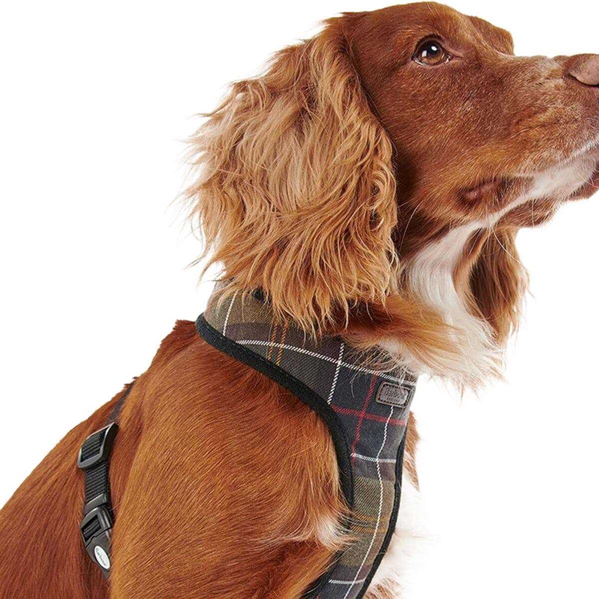 Barbour Tartan Dog Harness - Nail Gallerys