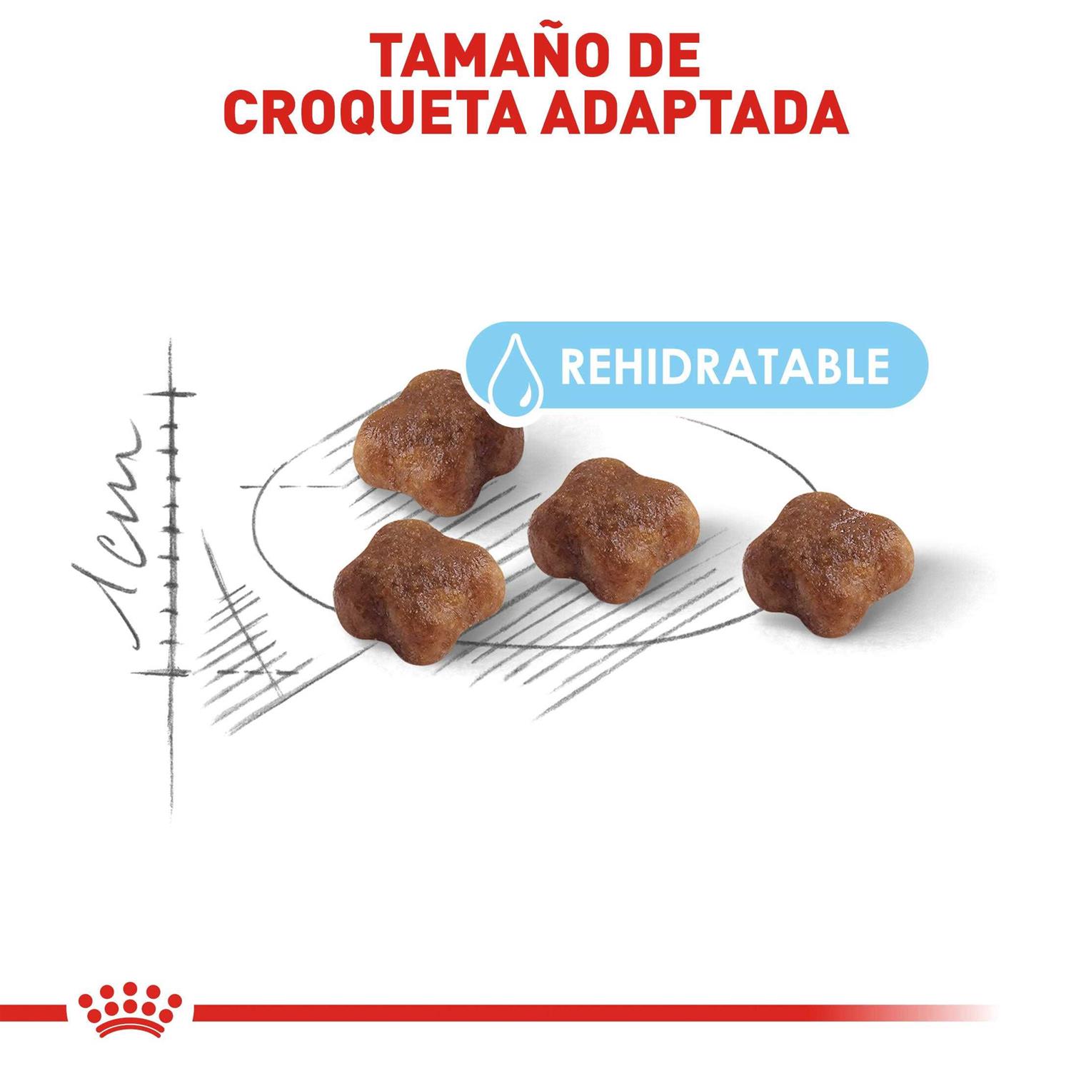 Royal Canin Mother & Baby Dry Cat Food - Nail Gallerys