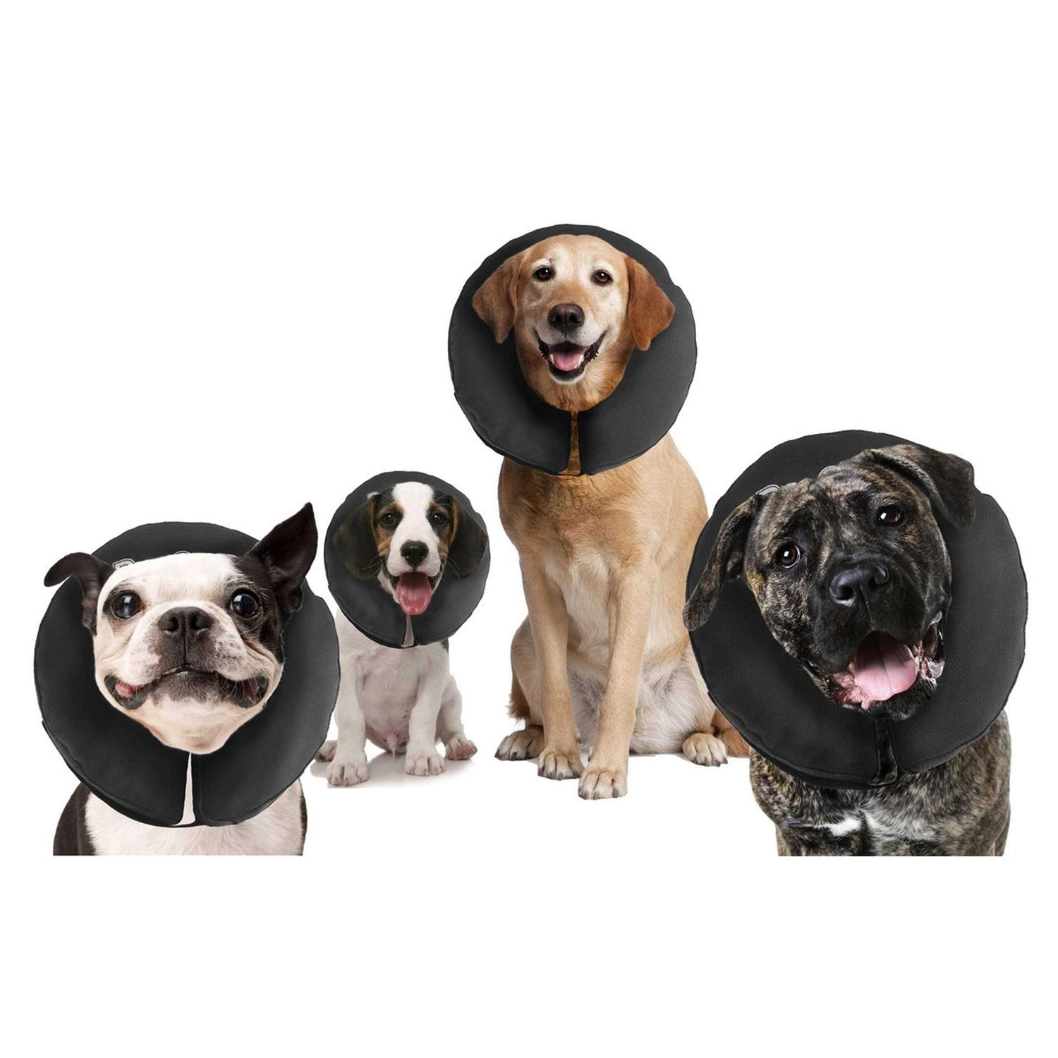 ZenPet Inflatable Recovery Collar - Nail Gallerys
