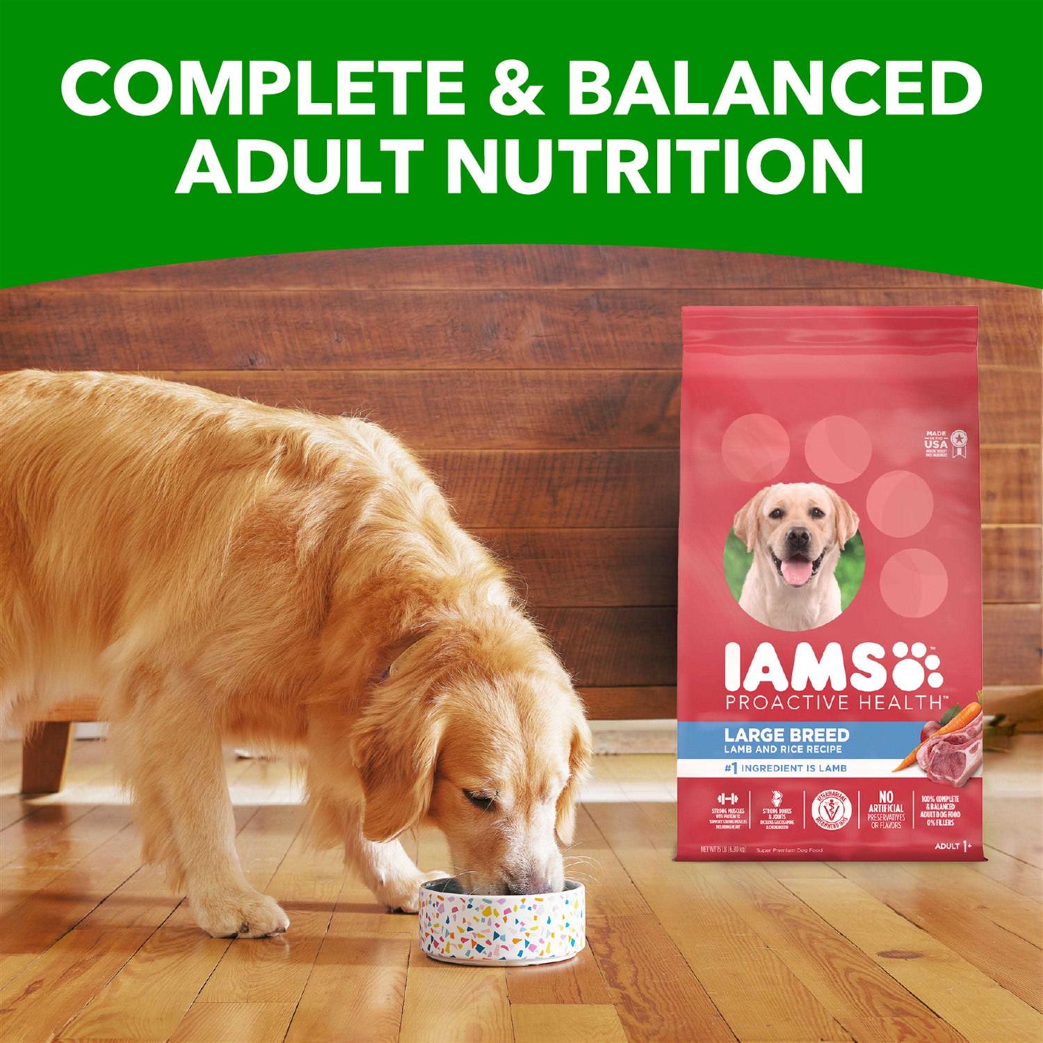 Iams Proactive Health Large Breed Adult Dry Dog Food Lamb & Rice Recipe - Nail Gallerys