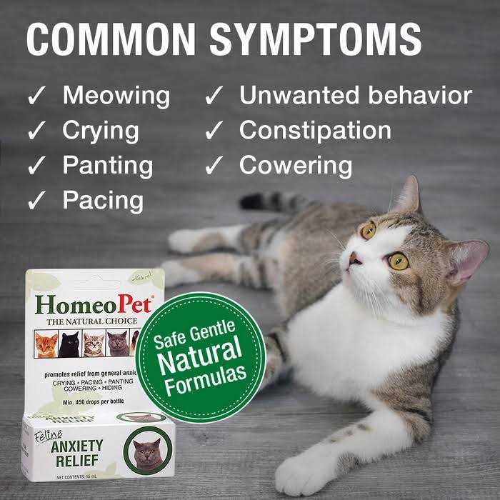 HomeoPet Feline Anxiety Relief - Nail Gallerys