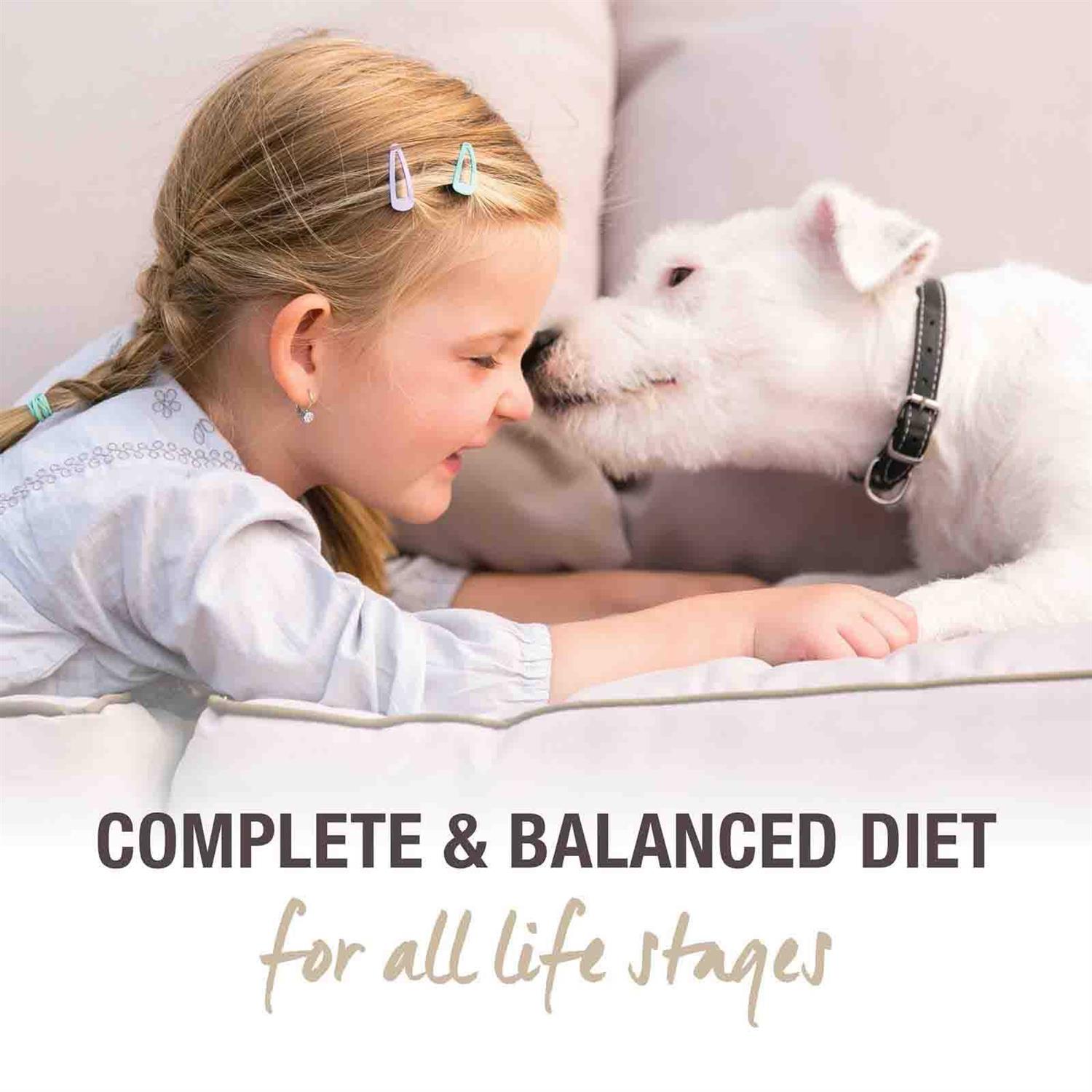 K9 Natural Beef Feast Freeze-Dried Dog Food - Nail Gallerys