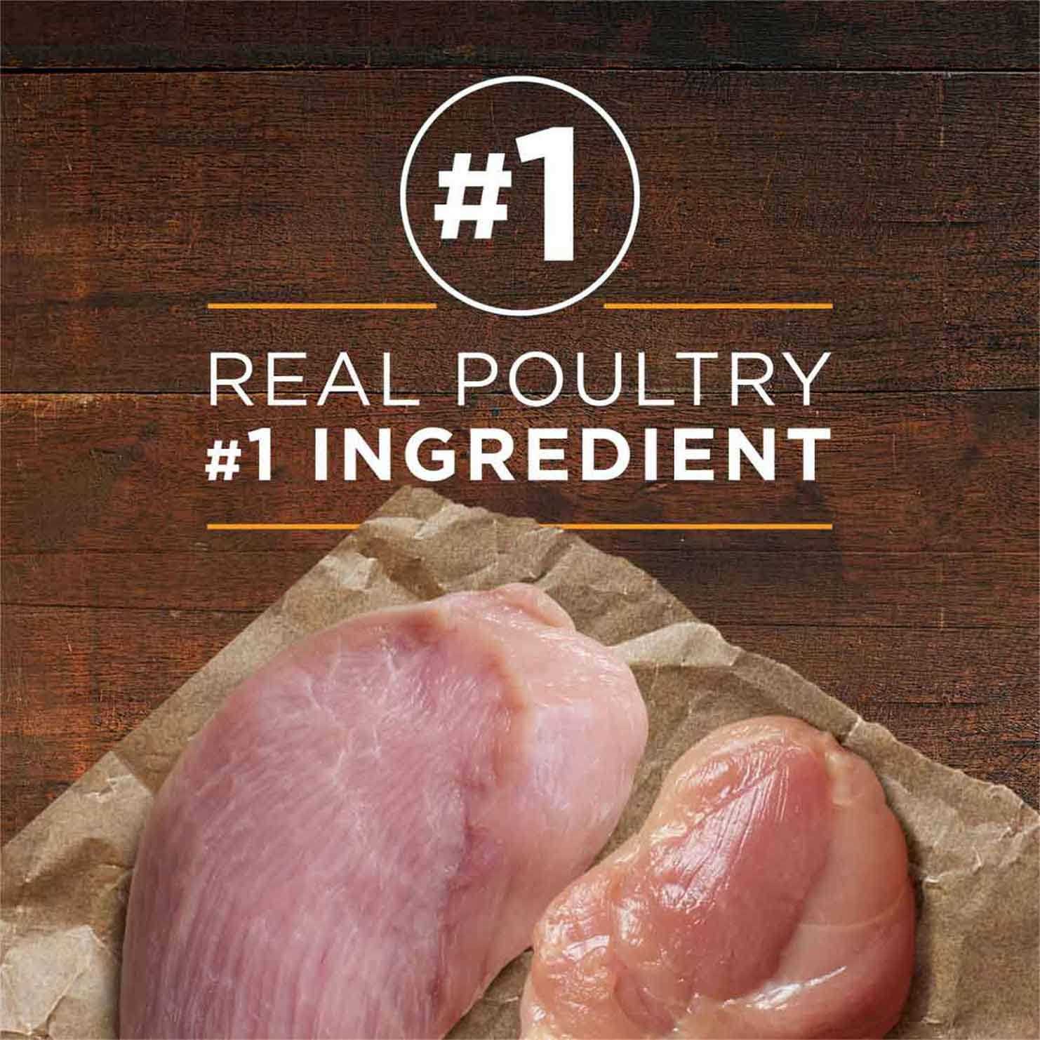 Purina ONE SmartBlend Adult Dog Food True Instinct Grain Free - Nail Gallerys