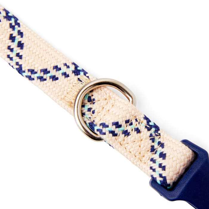 YOULY Zig Zag Dog Collar - Nail Gallerys