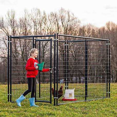 Tarter DKFMDB5 Blue Champion Dog Kennel Gate - Nail Gallerys
