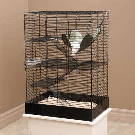 You & Me Rat Manor Habitat 16.5 L X 22.5 W X 32 H - Nail Gallerys