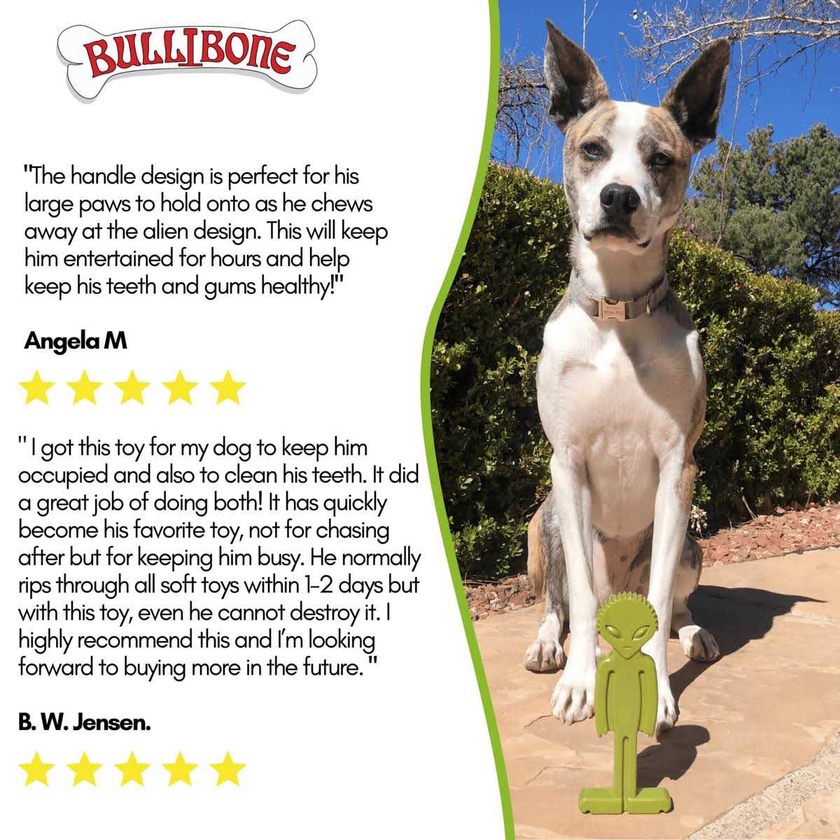 Bullibone Small Alien Bone Dog Chew Toy for Small Dogs With Easy Hold Grips - Nail Gallerys