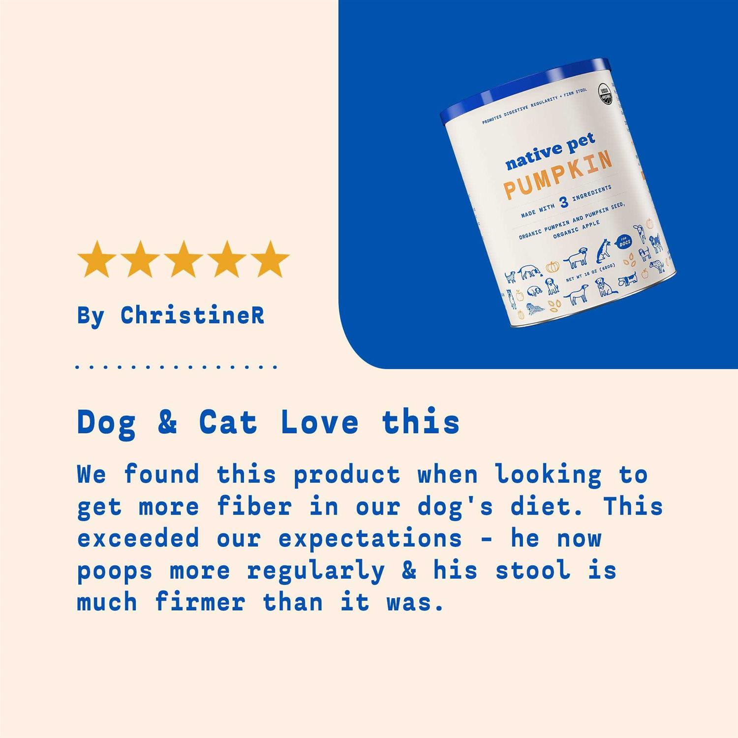 Native Pet Pumpkin Powder - Nail Gallerys