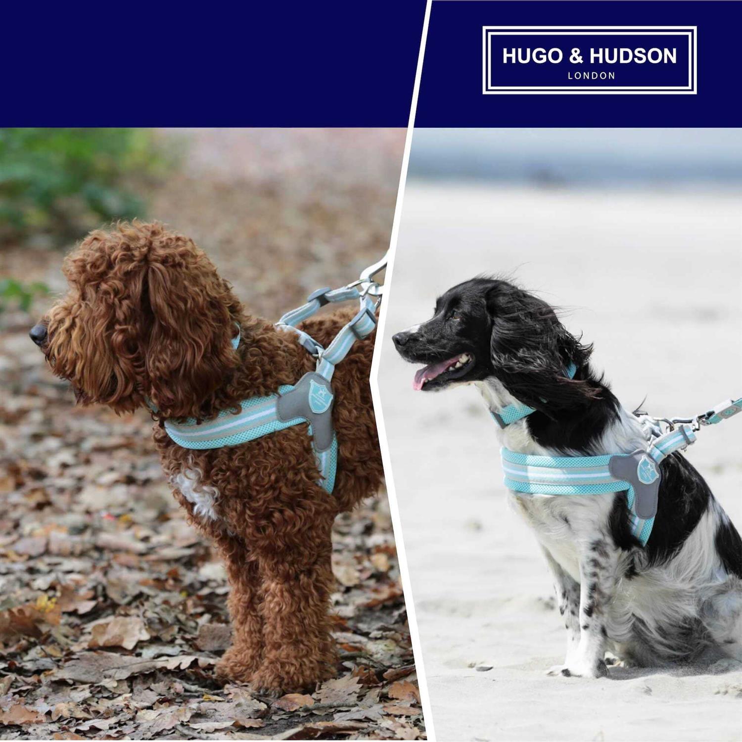HUGO & HUDSON Easy Walk V Dog Harness - Nail Gallerys