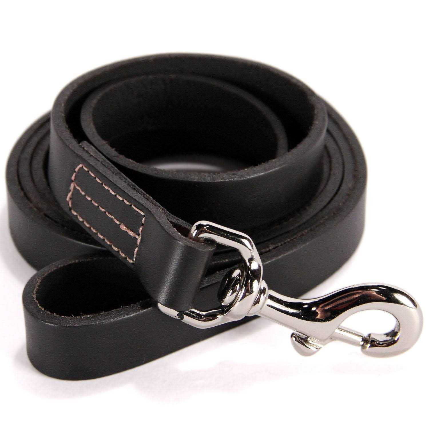 Logical Leather Dog Leash Best for Training - Nail Gallerys