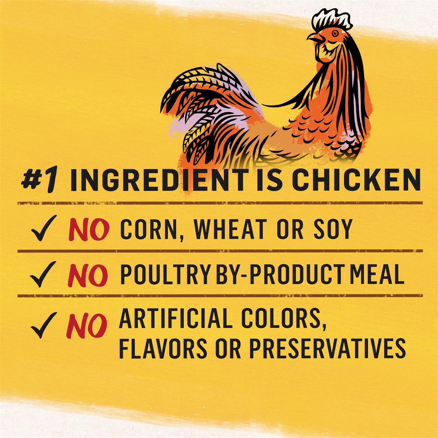 Purina Beyond Grain-Free Wet Cat Food - Nail Gallerys