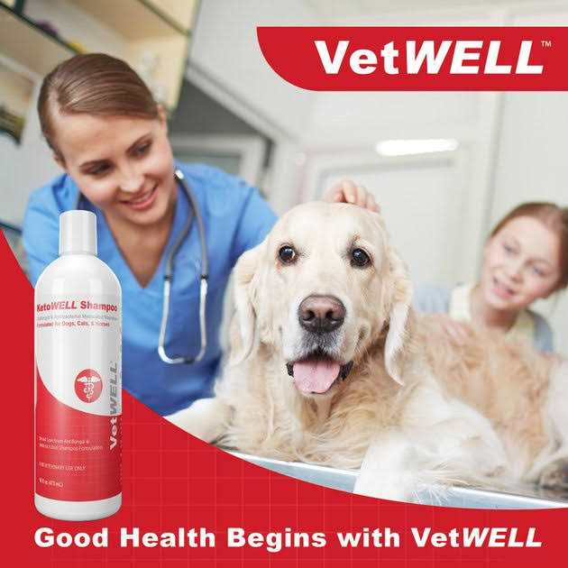 VetWELL KetoWell Antiseptic Dog Cat & Horse Shampoo - Nail Gallerys