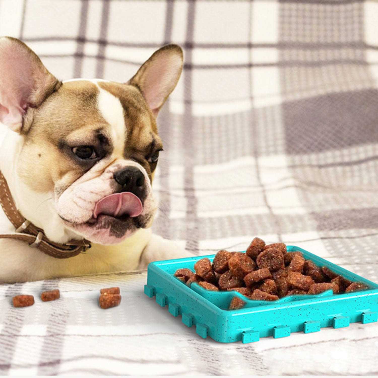 HANAMYA Pet Slow Treat Dispensing Mat Set - Nail Gallerys