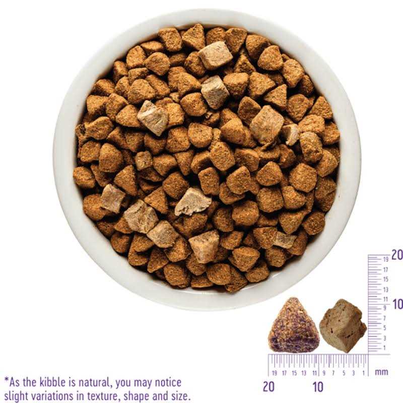 Wellness Core RawRev Natural Grain Free Wild Game Freeze Dried Dry Dog Food - Nail Gallerys