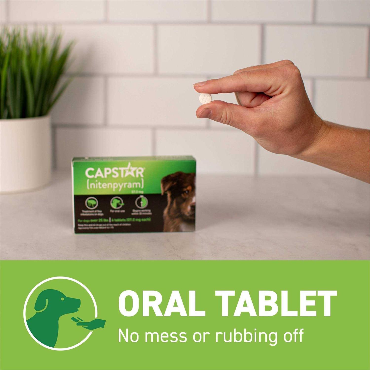 Capstar Flea Oral Treatment for Dogs - Nail Gallerys