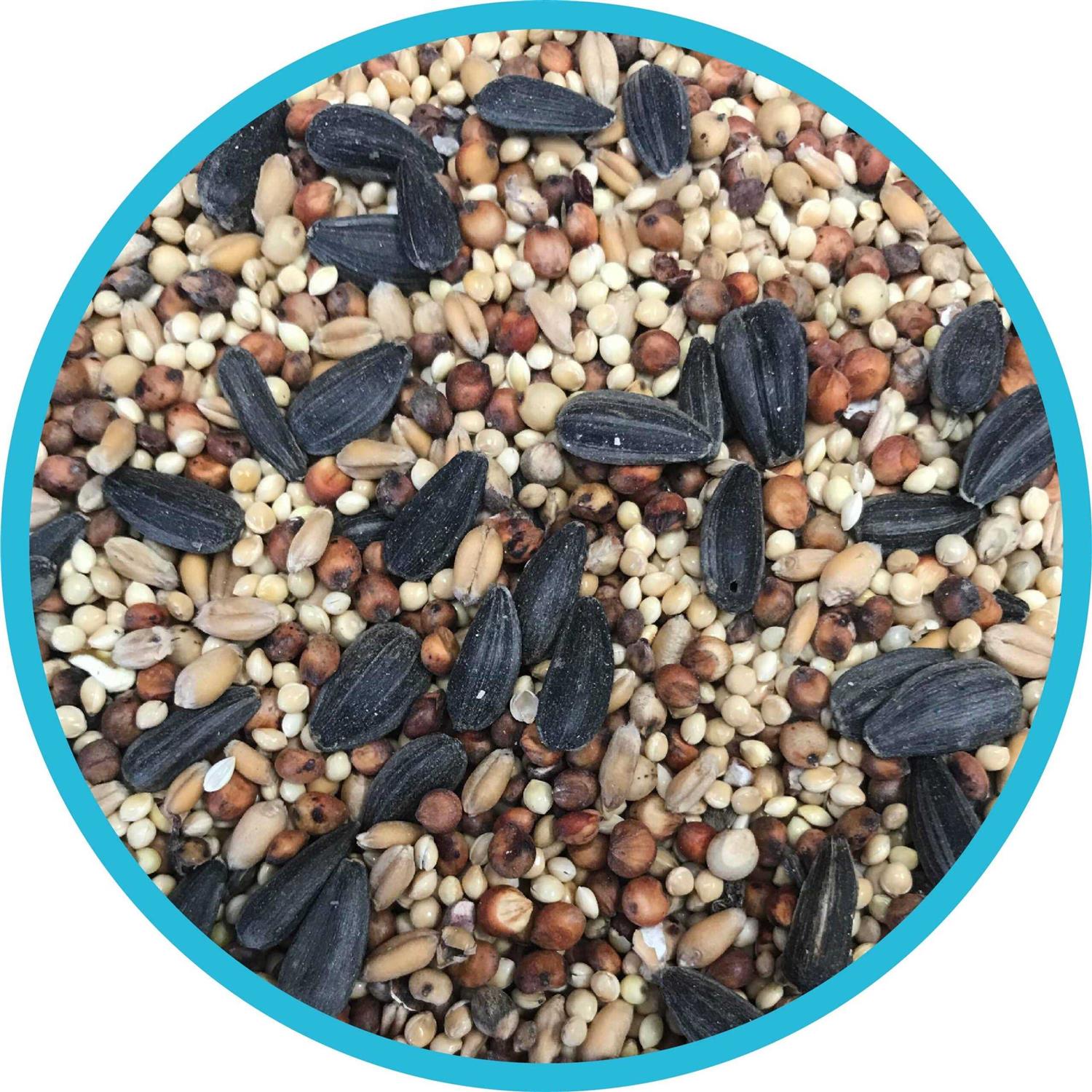 Pennington Classic Wild Bird Feed and Seed - Nail Gallerys