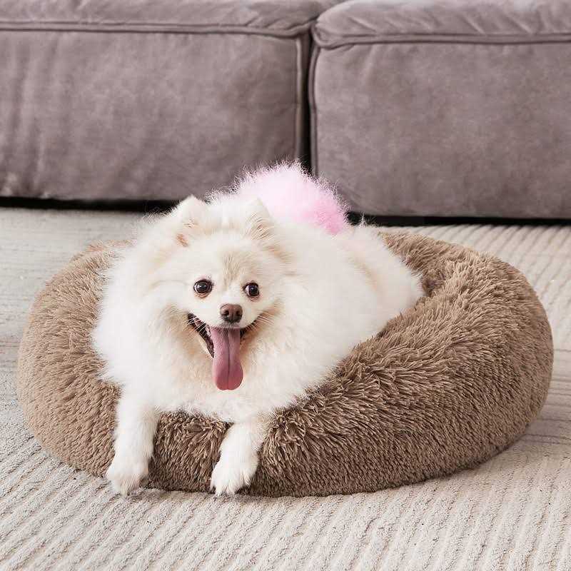 MIXJOY Orthopedic Dog Bed Comfortable Donut Cuddler Round Dog Bed Ultra Soft Washable Dog and Cat Cushion Bed - Nail Gallerys
