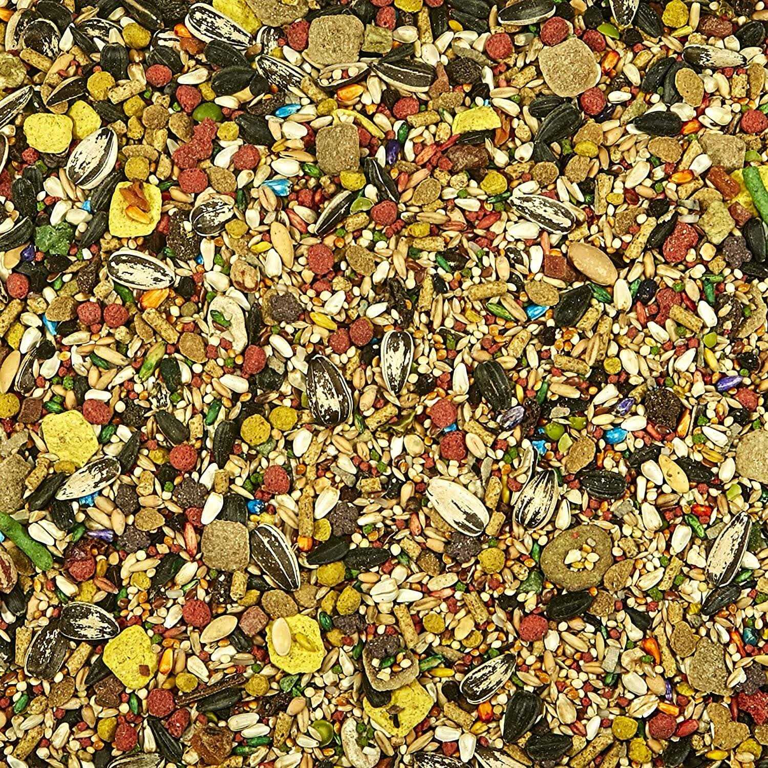 Kaytee Fiesta Cockatiel Food - Nail Gallerys