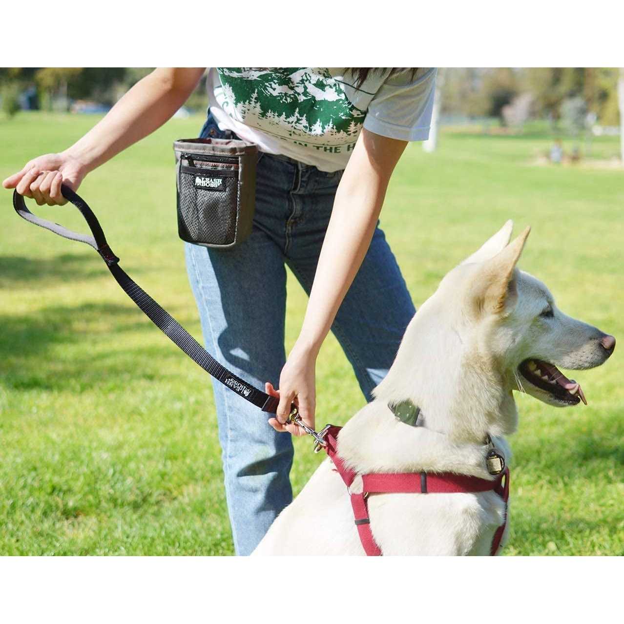 Leashboss Padded Handle Short Dog Leash - Nail Gallerys