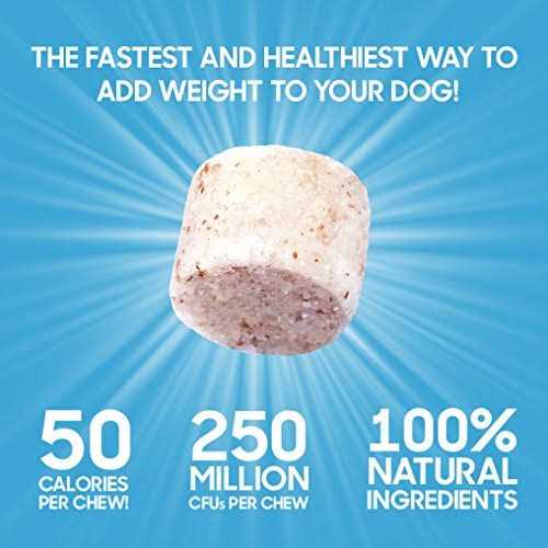 Bully Max Power Chews for Weight Gain - Nail Gallerys