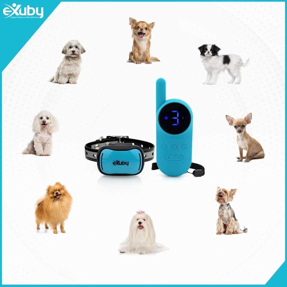 Exuby Tiny Shock Collar for Small Dogs 5-15lbs Smallest Collar on The Market - Nail Gallerys