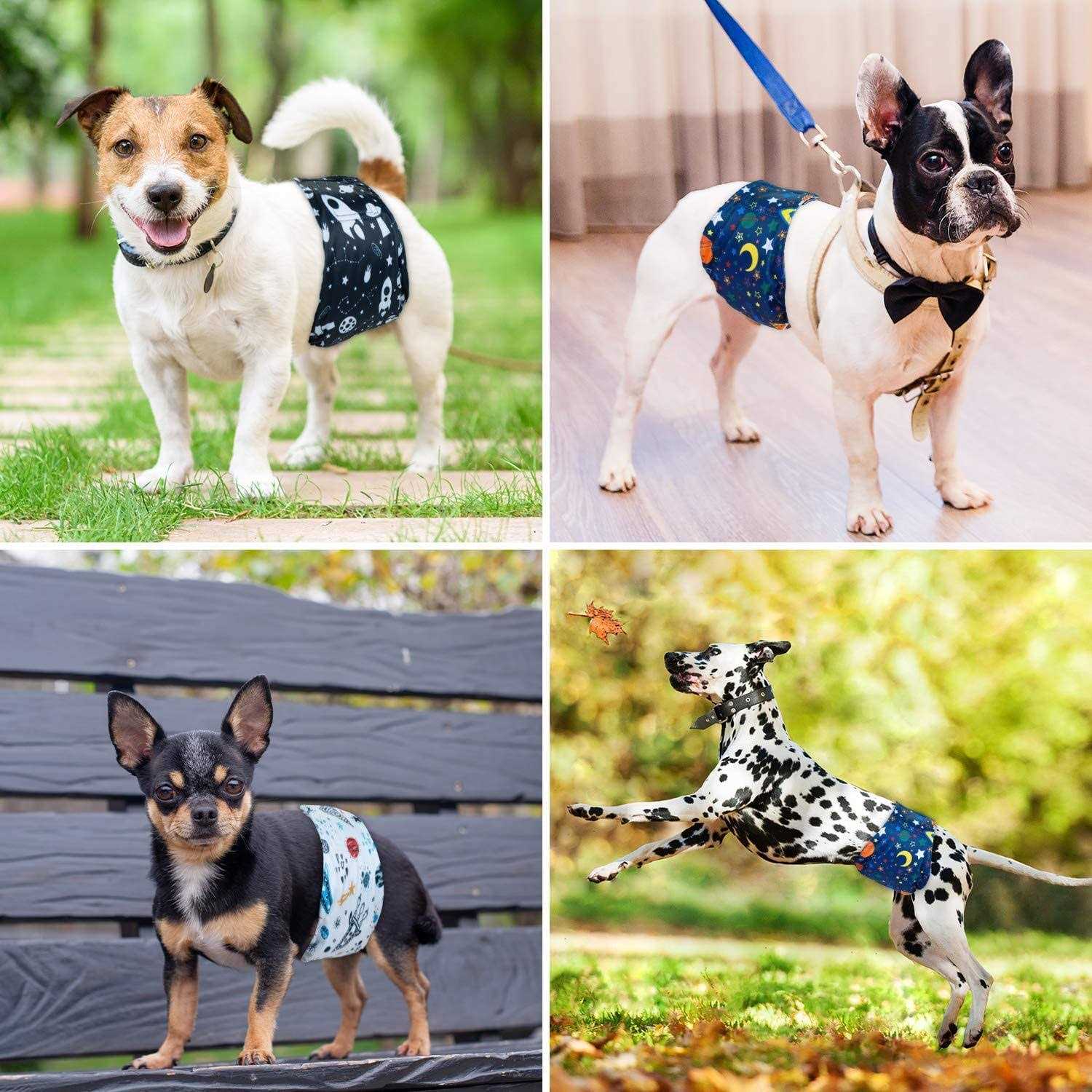 Pet Soft Washable Dog Diapers Male Dog Belly Bands Diapers for Doggy - Nail Gallerys